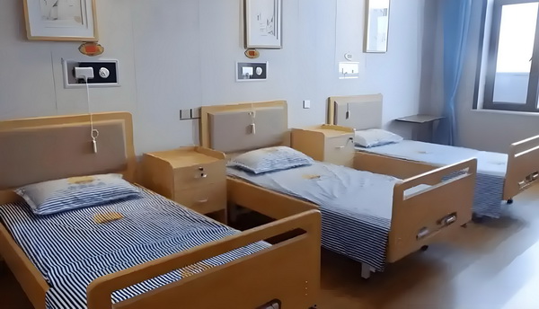 光道主宰