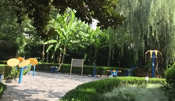 光道主宰